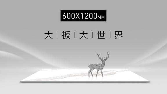 600X1200mm | 全行業看譽輝