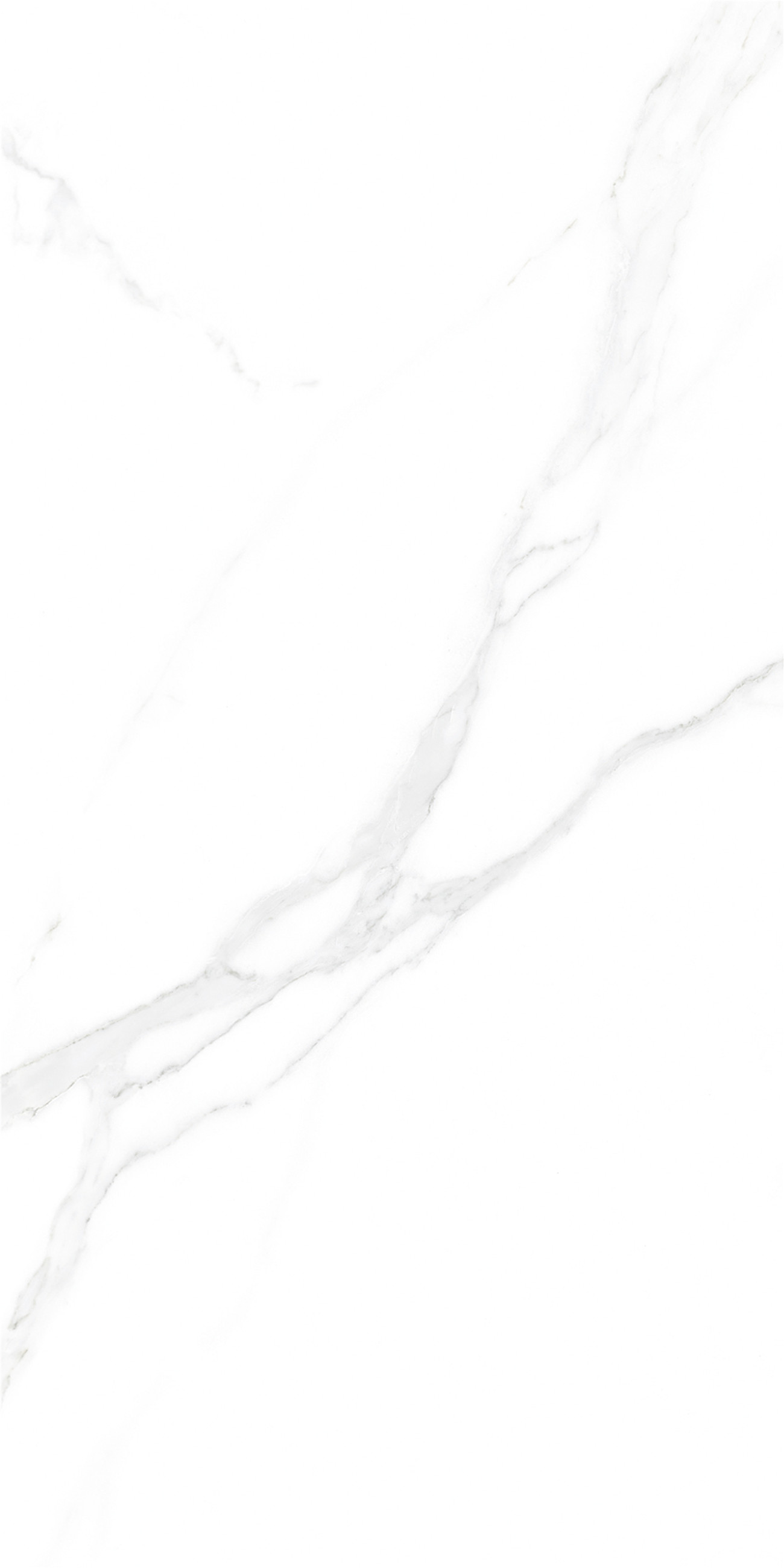 YHTD12009薩拉拉