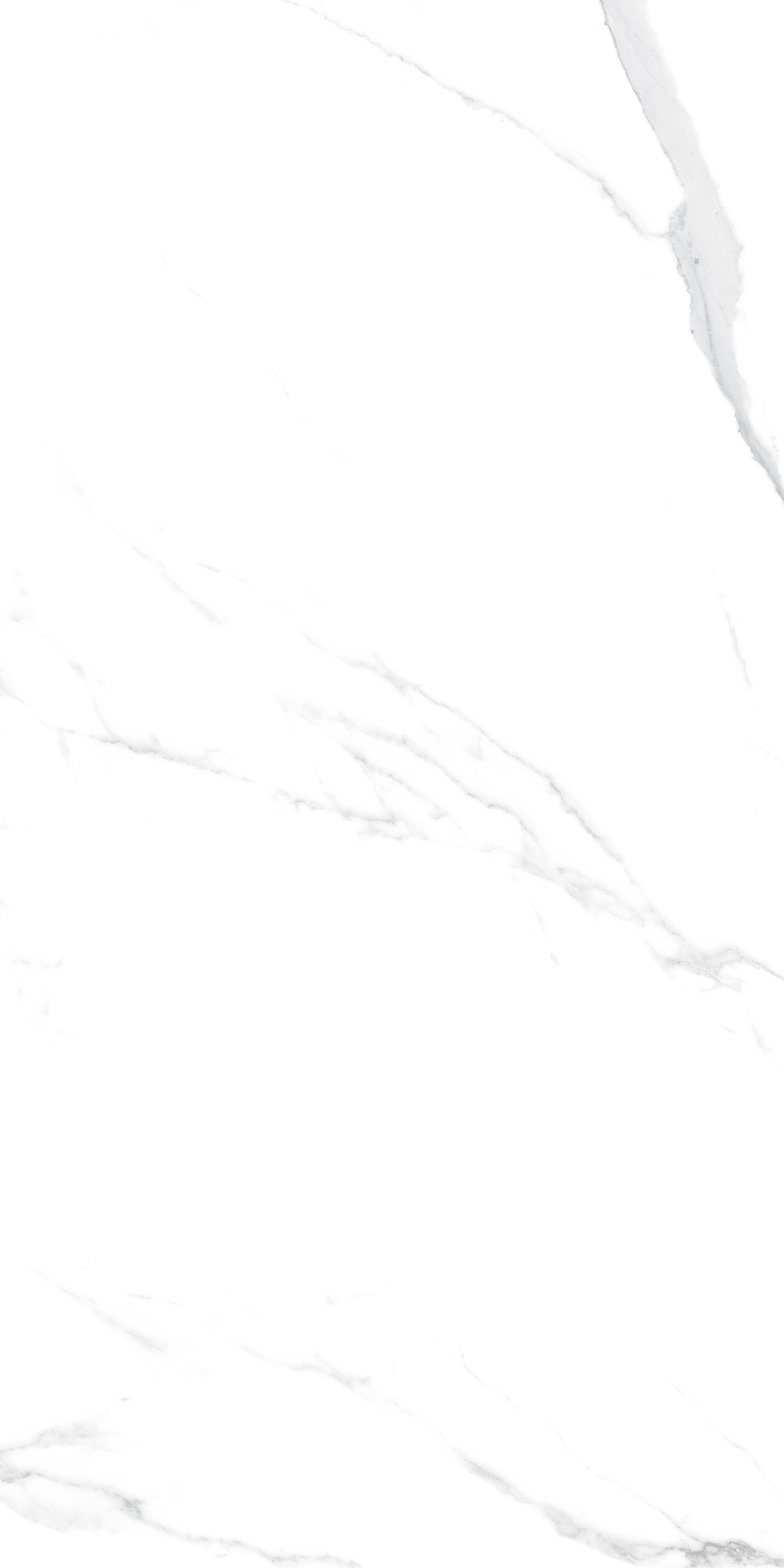 YTB12999伊麗莎白