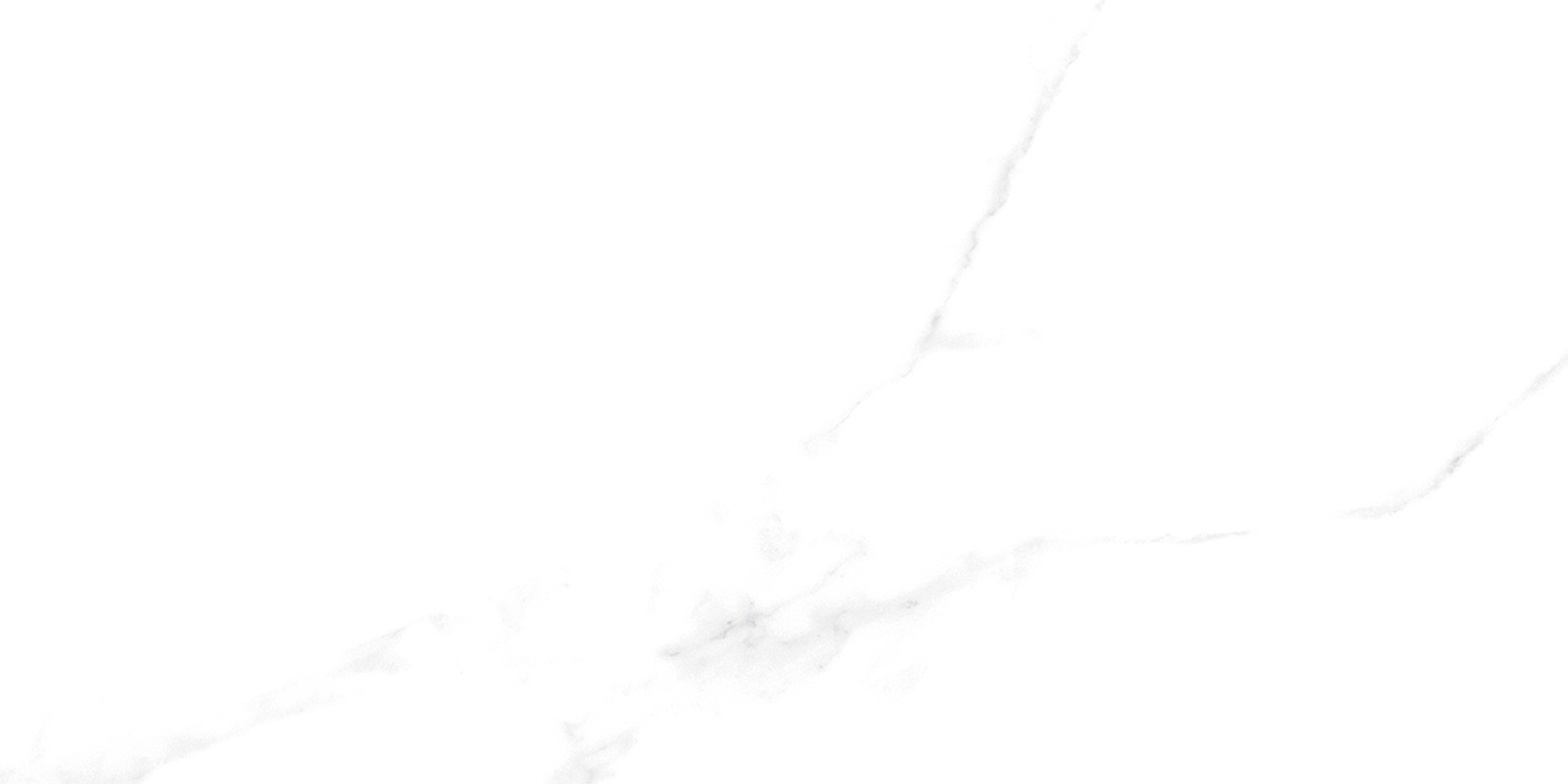 YB36999伊麗莎白