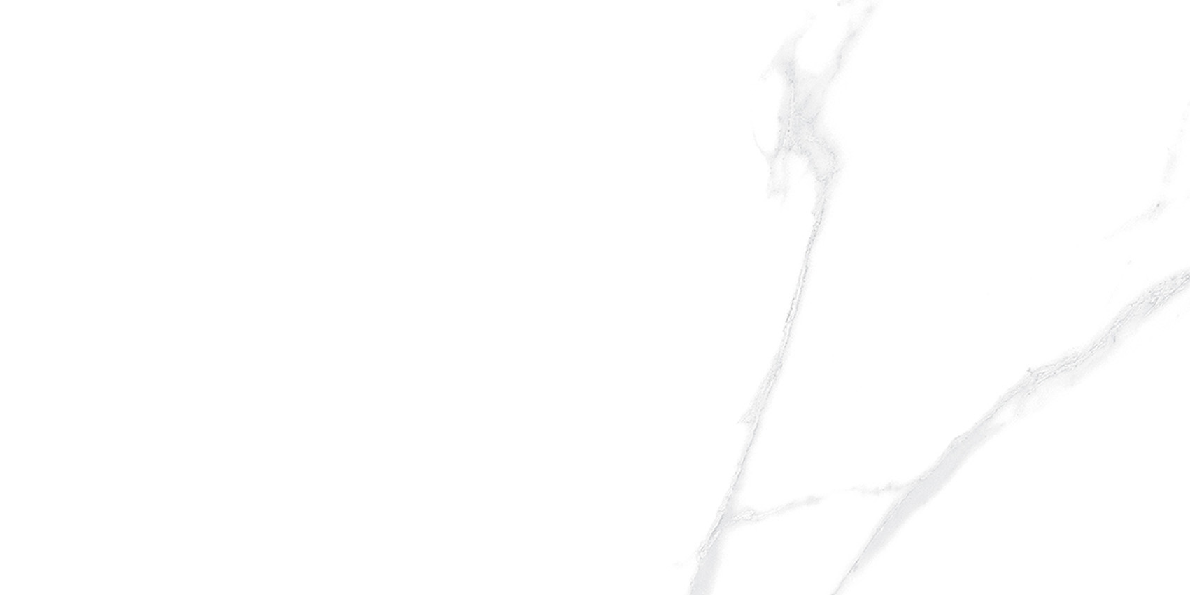 YB36999伊麗莎白