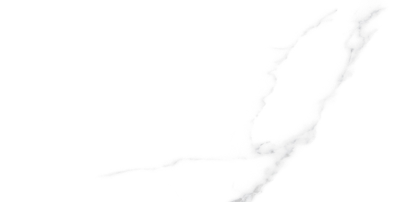 YB36999伊麗莎白