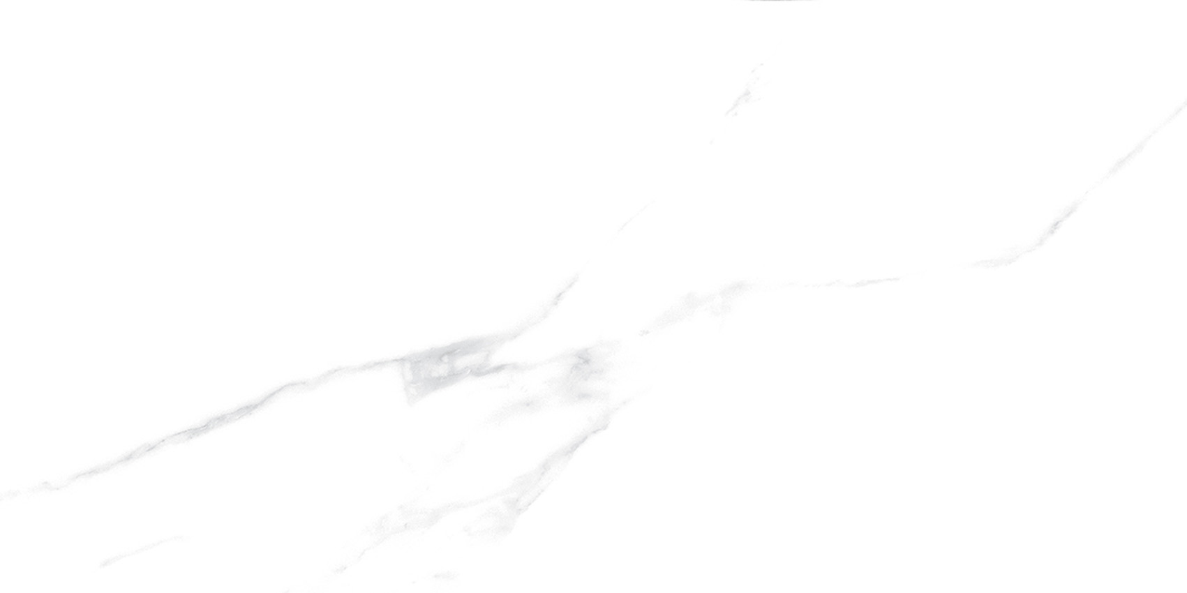 YB36999伊麗莎白