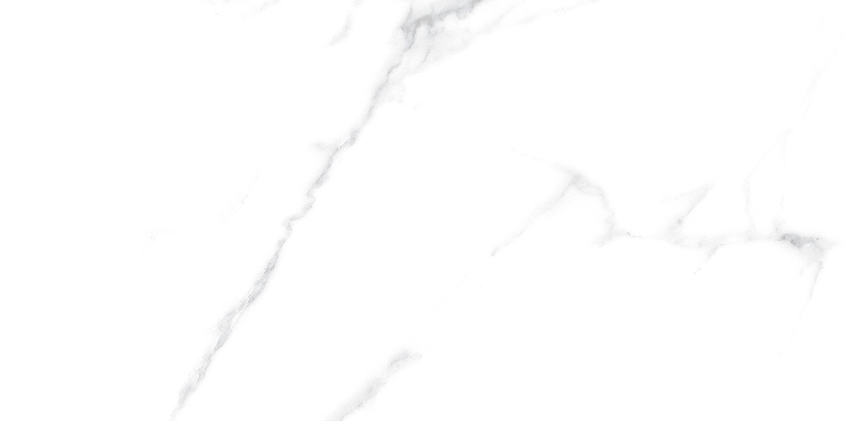 YTB36999伊麗莎白